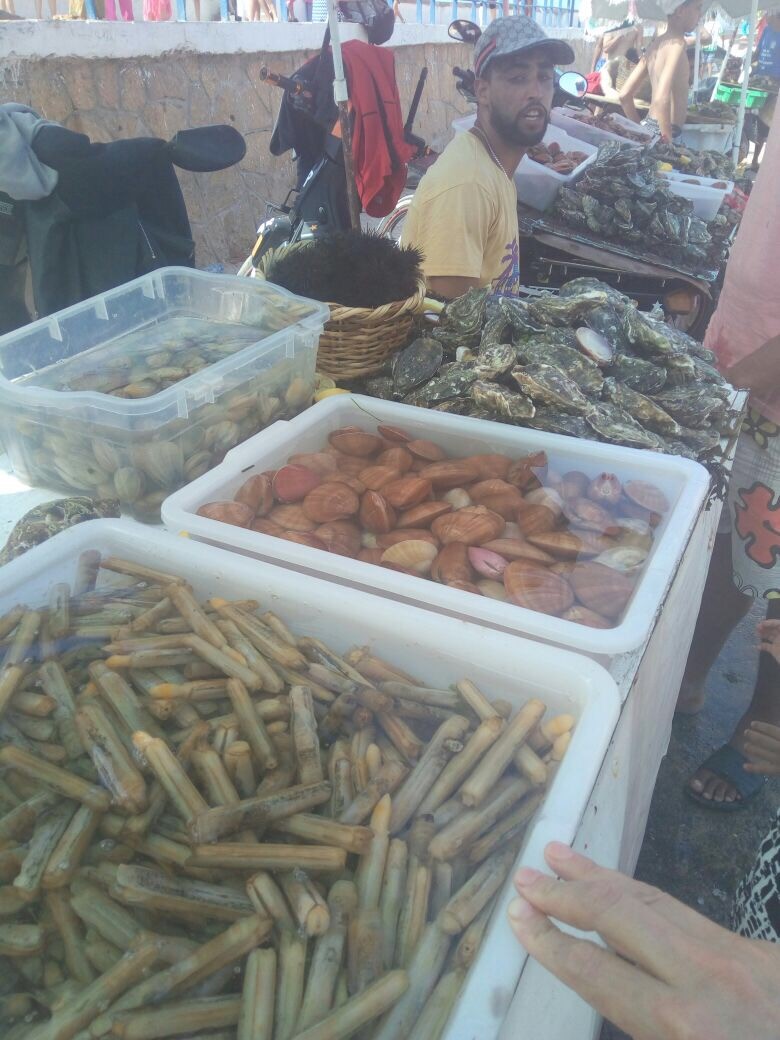 market in al jadida